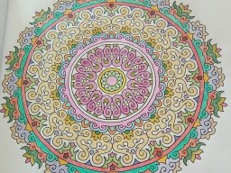 whatsapp bild 2023-07-06 um 18.44.45